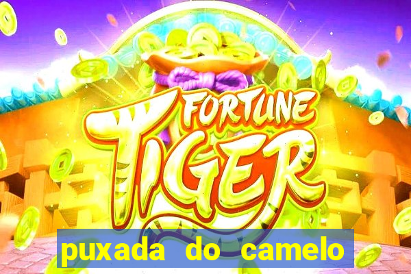 puxada do camelo no jogo do bicho